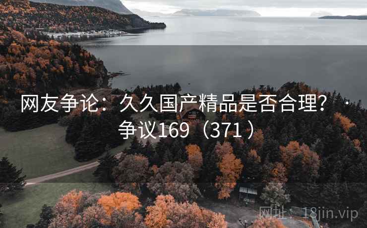 网友争论:久久国产精品是否合理? · 争议169(371 )