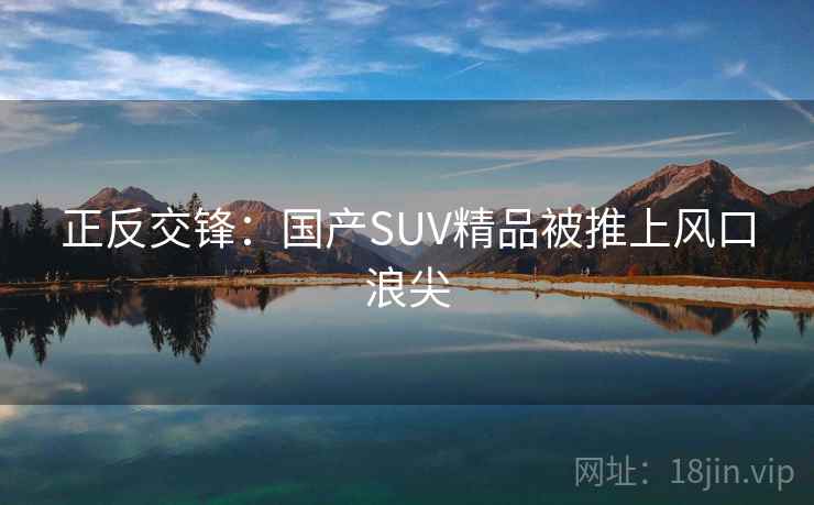 正反交锋：国产SUV精品被推上风口浪尖